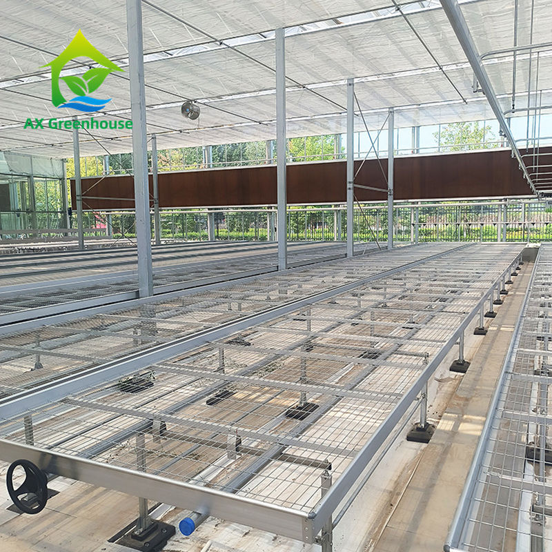 Bancada de cultivo rolante para estufa personalizada com vantagem de fácil construção e estrutura de aço galvanizado a quente