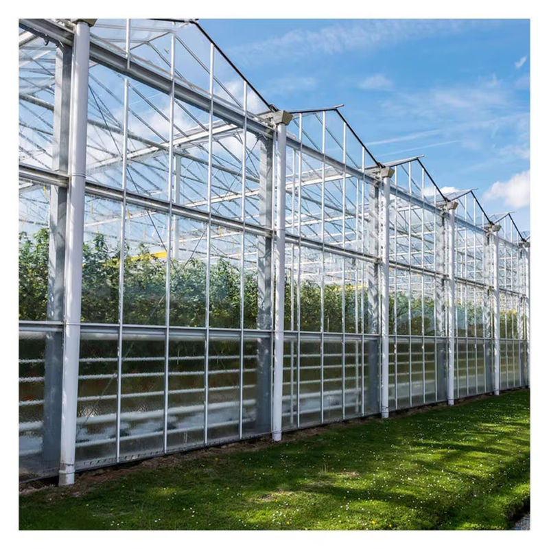 Estufa de vidro tipo Venlo agrícola, engenharia holandesa, estrutura galvanizada para hidroponia