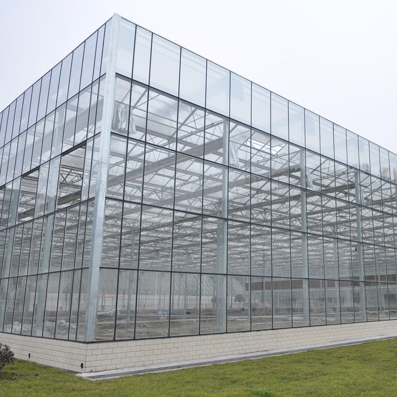 Painéis Temperados de Vidro Agrícola Tipo Venlo, Estrutura de Aço Galvanizado para Cultivo de Pepinos
