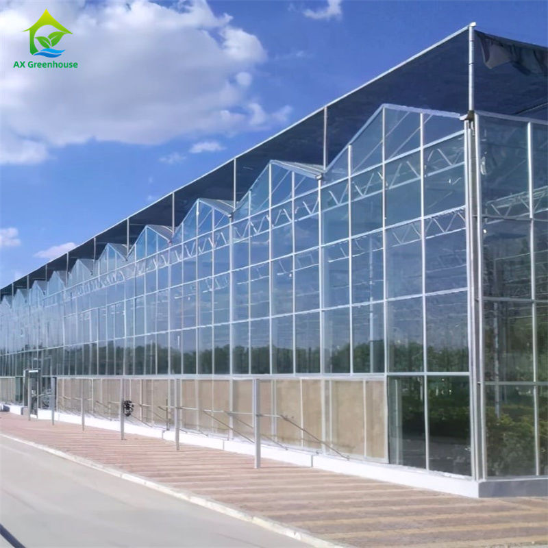 Equipamento de cultivo de morangos de vegetais em vidro durável Policarbonato Estufas - Kit de Estufas Tudo em Um