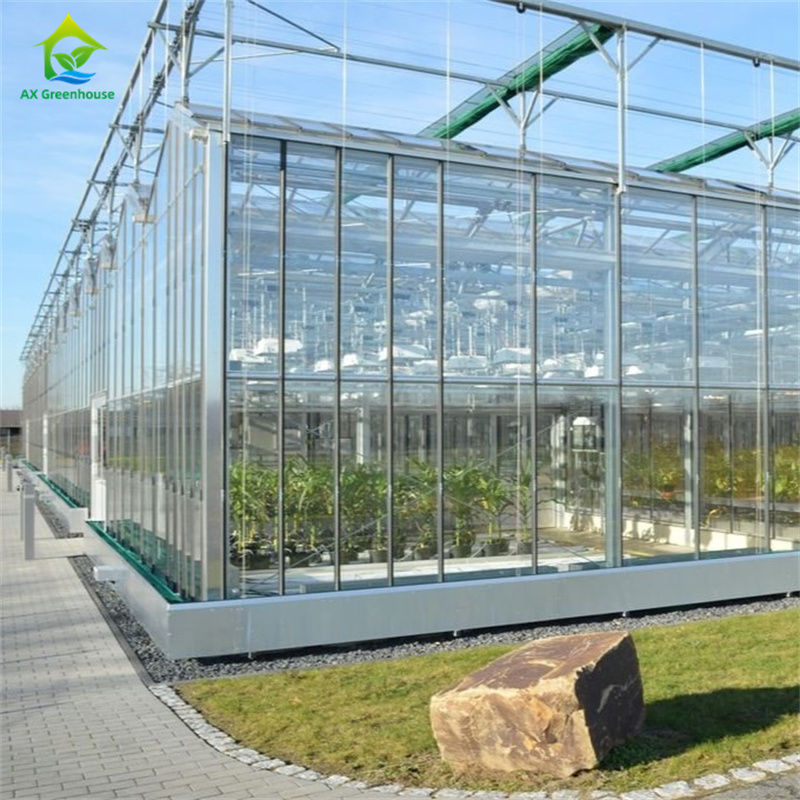 Equipamento de cultivo de morangos de vegetais em vidro durável Policarbonato Estufas - Kit de Estufas Tudo em Um