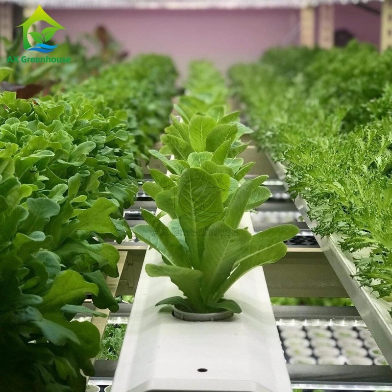Sistema Automatizado Inteligente de Plantio em Contêineres Agrícolas, Cultivo Hidropônico NFT Vertical Multi-camadas sem Solo