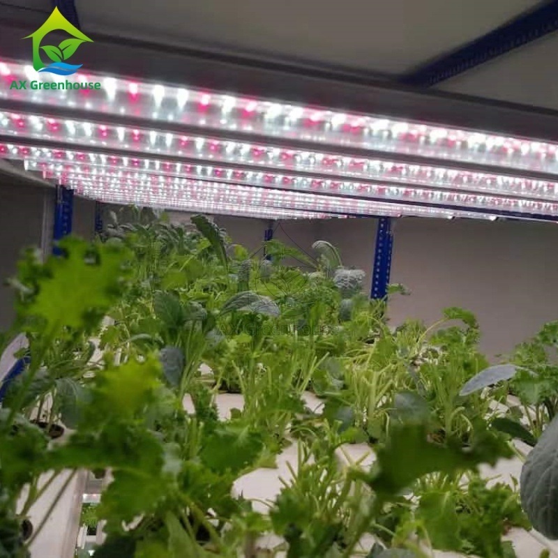 Sistema Hidropônico NFT Vertical Multi-camadas Automatizado com Iluminação LED Integrada para Cultivo sem Solo