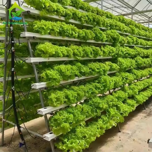 Sistema de cultivo sem solo em estufa A-frame Técnica de filme nutricional Canal NFT Cultivo de vegetais eficiente