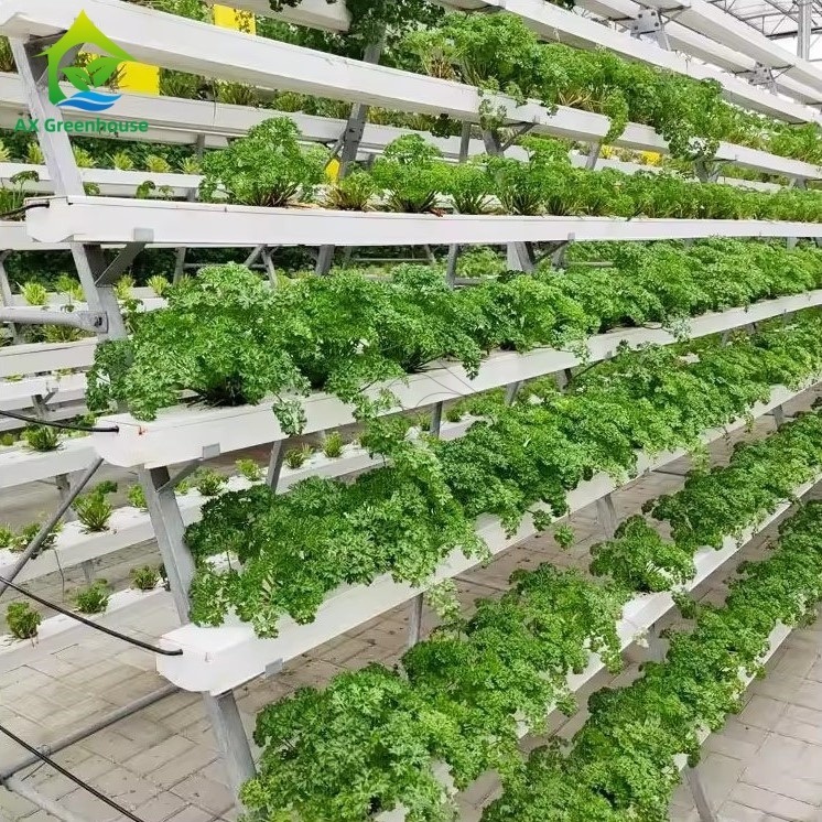 Sistema de cultivo sem solo em estufa A-frame Técnica de filme nutricional Canal NFT Cultivo de vegetais eficiente