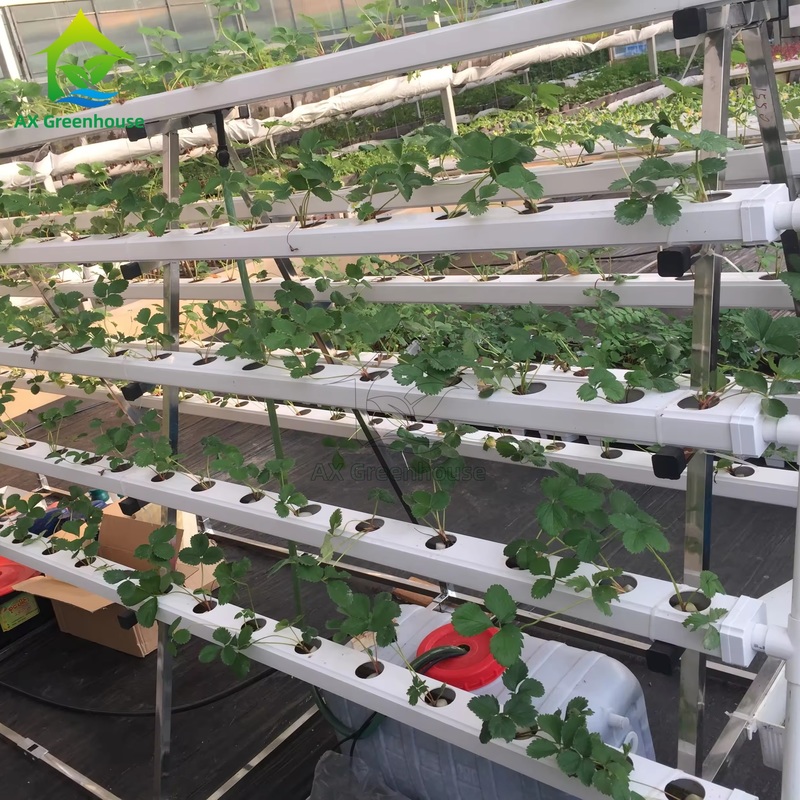 Sistema de cultivo sem solo em estufa A-frame Técnica de filme nutricional Canal NFT Cultivo de vegetais eficiente