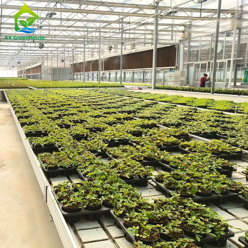 Bancada Comercial de Alumínio para Fluxo e Refluxo com Altura Ajustável e Bandeja PP/ABS Integrada para Estufas