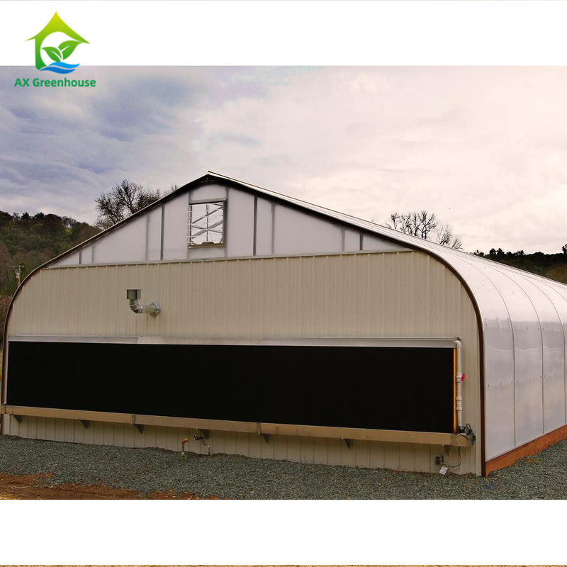 sistema de controlo do clima de Dep Grow Tunnel Greenhouse With da luz da altura da parede de 1,8-3M