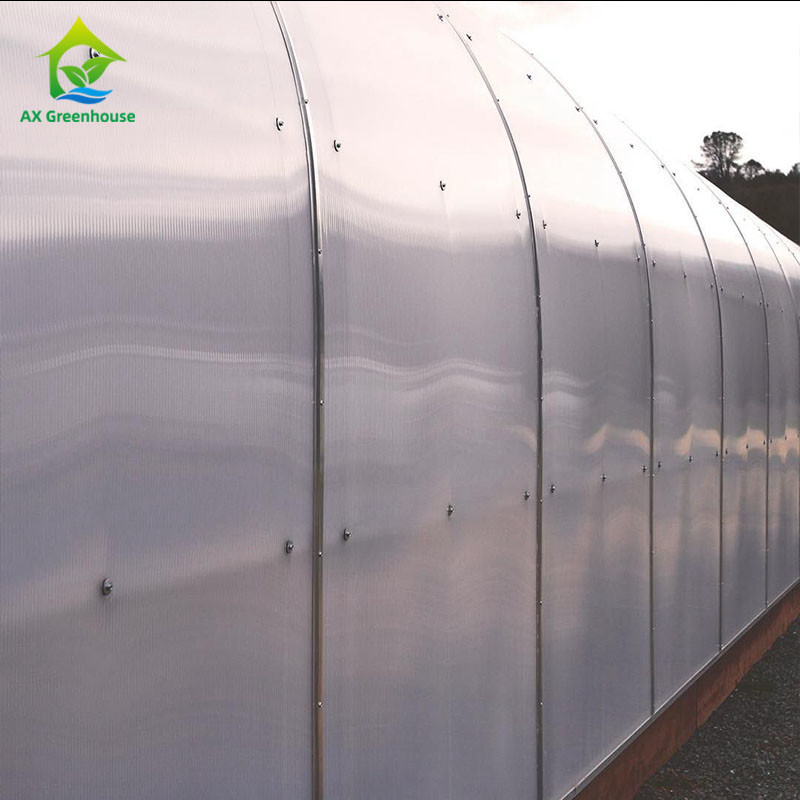sistema de controlo do clima de Dep Grow Tunnel Greenhouse With da luz da altura da parede de 1,8-3M