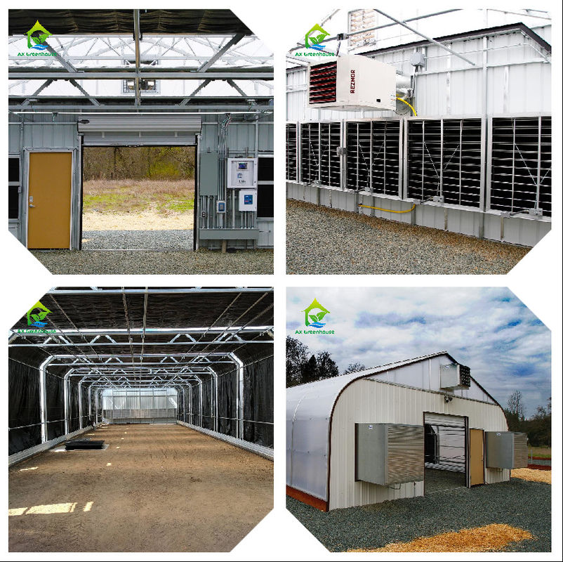 Sistema Inteligente de Monitoramento de Estufa com Alimentação AC220V e Medidor de Concentração de CO2 de 0~50000 PPM para Controle Climático Ideal