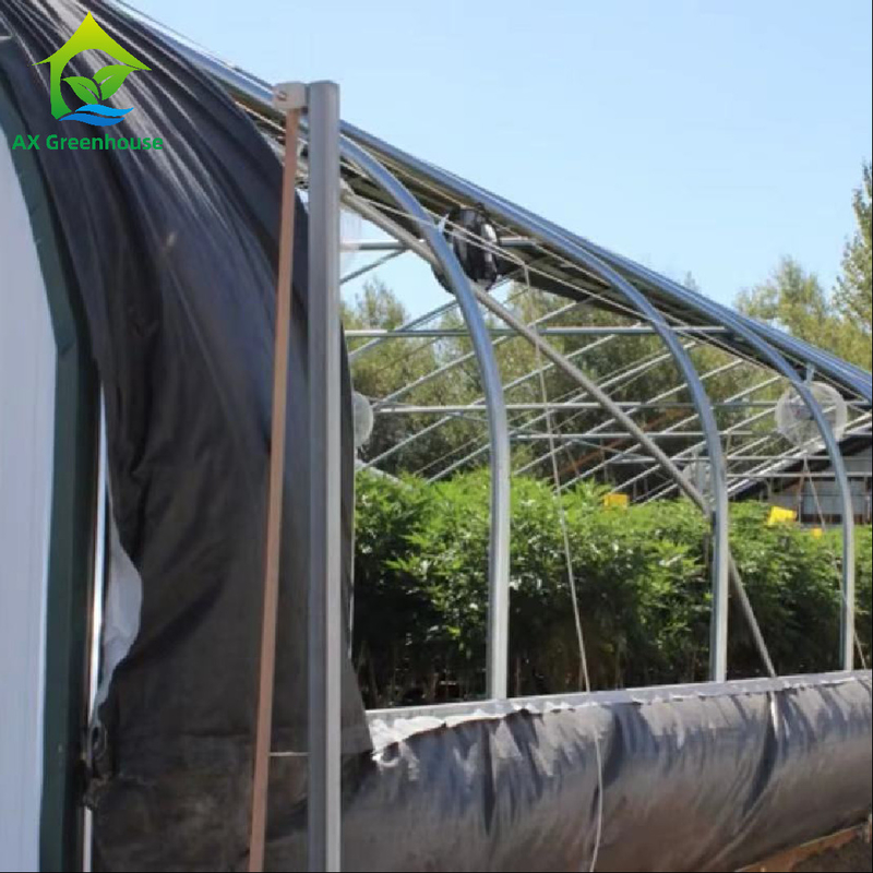 Estufa clara externo do sistema do escurecimento do comprimento da estufa 32m-50m da privação do OEM para crescer Mariguana