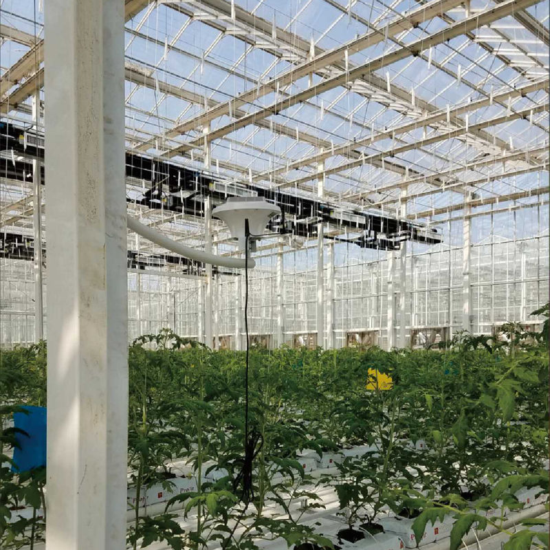 Sistema Inteligente de Monitoramento de Estufa com Alimentação AC220V e Medidor de Concentração de CO2 de 0~50000 PPM para Controle Climático Ideal