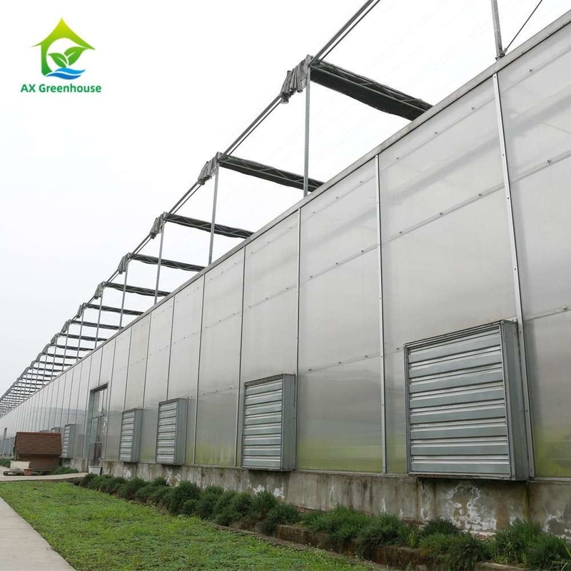 Plantas de cultivo Single Span Policarbonato PC Folha Estufa com estrutura estável e fácil montagem