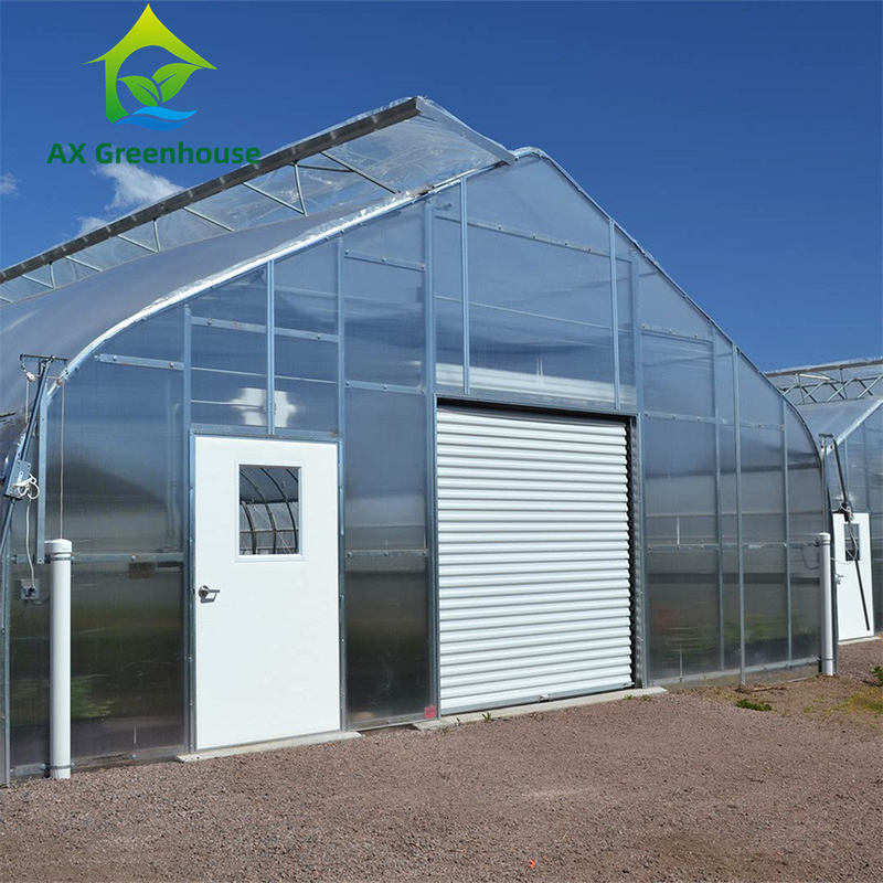 Estufa de policarbonato de parede múltipla e versátil Ideal para vegetais Sementes Flores Agricultura no quintal
