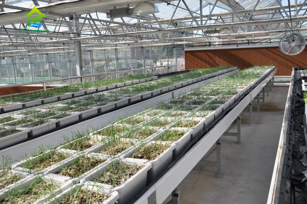 Calha hidropônica grossa do PVC NFT do produto comestível 3.0-5.0mm para morangos