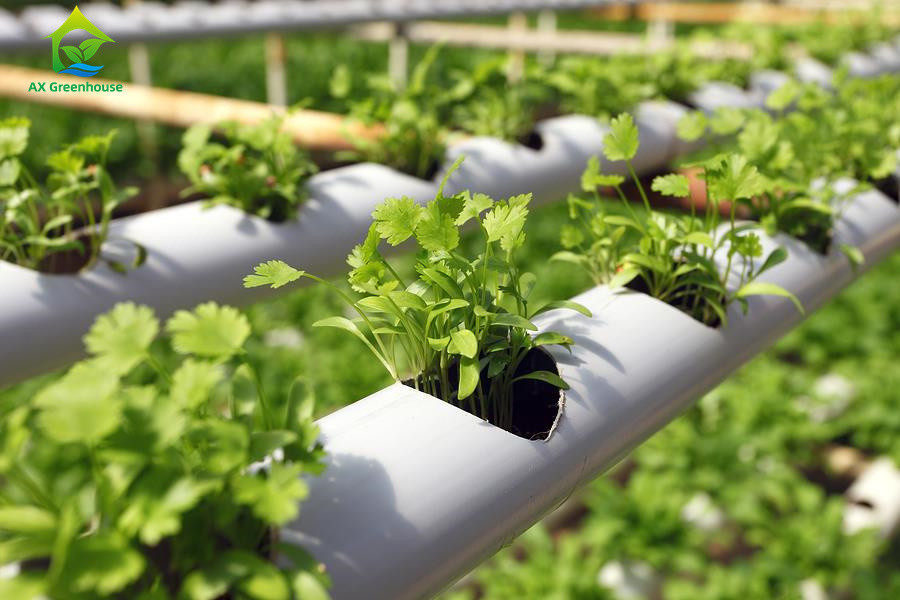 Agricultura sem solo em ambientes fechados Fertilização de morangos Tubo de PVC para hidroponia Sistema NFT para venda