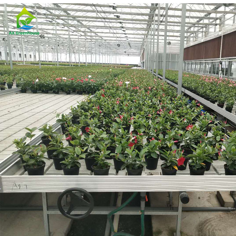 Horticultura Tabela de crescimento de estufa de tamanho personalizado Banco de rolamento de inundação de refluxo hidropônico