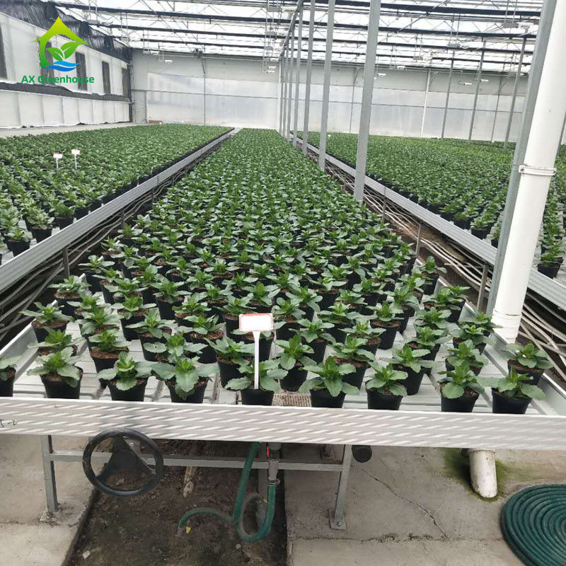 Bancos de rolamento de estufa com folha de plástico ABS e quadro de liga de alumínio em tamanhos personalizáveis