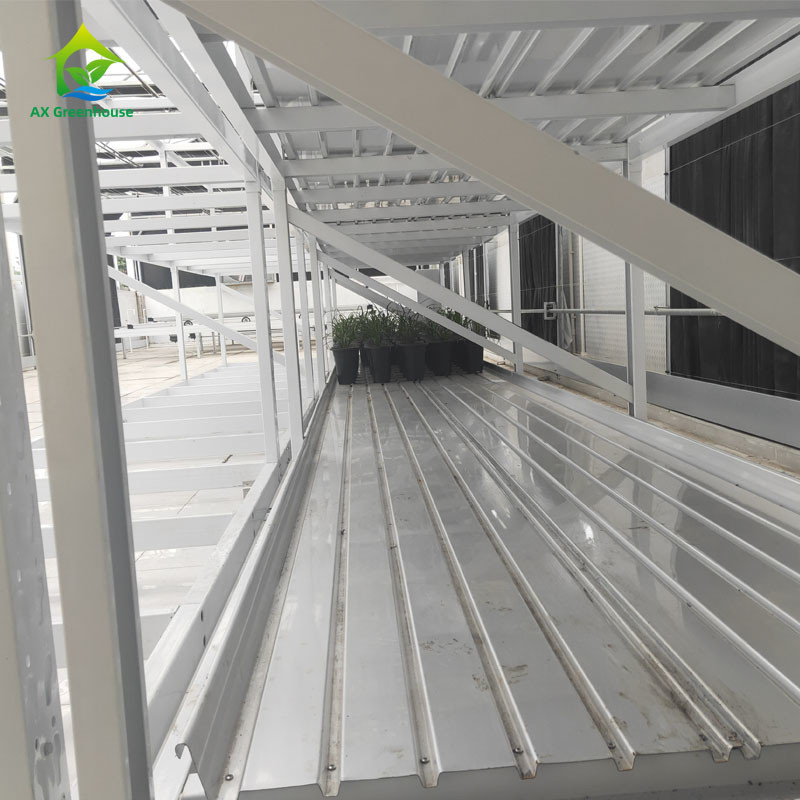 Rack de cultivo de ervas medicinais vegetais de camadas duplas para cultivo vertical
