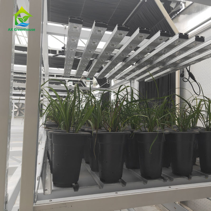 Rack de cultivo de ervas medicinais vegetais de camadas duplas para cultivo vertical