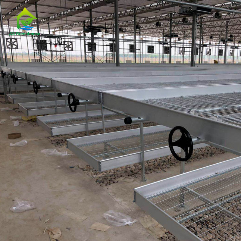 Agropecuária Comercial Interior de malha de fio de estufa de crescimento de mesa banco rolante para sementeira