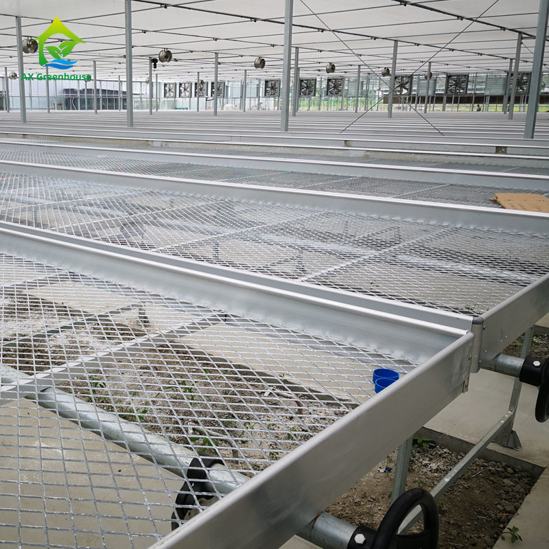 Agropecuária Comercial Interior de malha de fio de estufa de crescimento de mesa banco rolante para sementeira