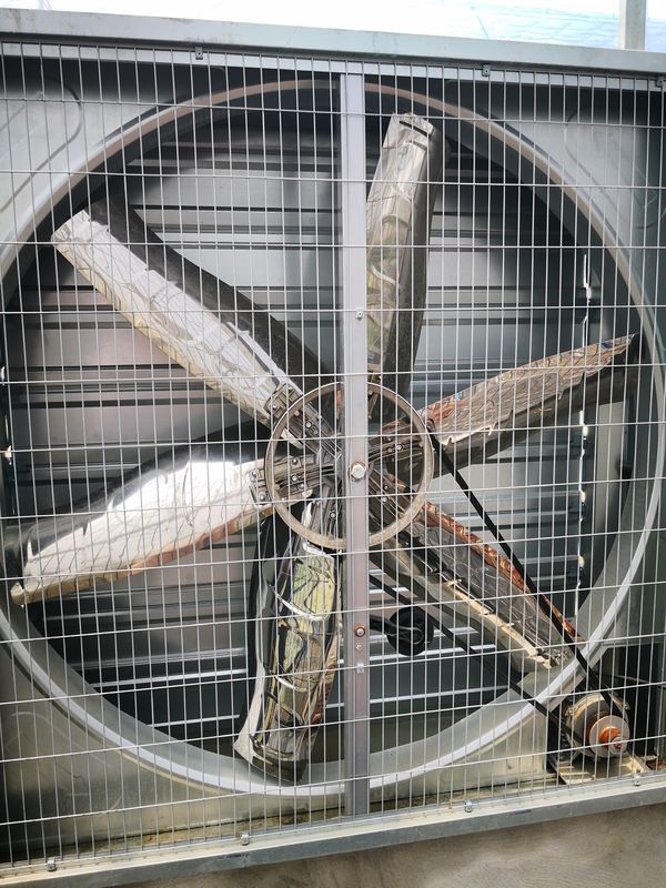 Ventiladores de exaustão de estufa de alumínio de grau industrial resistentes à corrosão para resfriamento evaporativo úmido